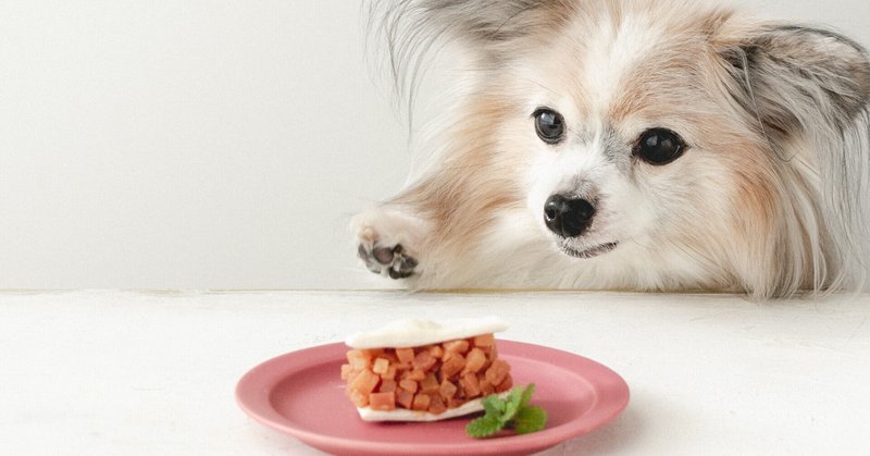 50kcal ノンオイルクッキー りんごのフロランタン風クッキーサンド 手作り犬おやつ 単品購入 いちかわあやこ 犬ごはん先生 Note