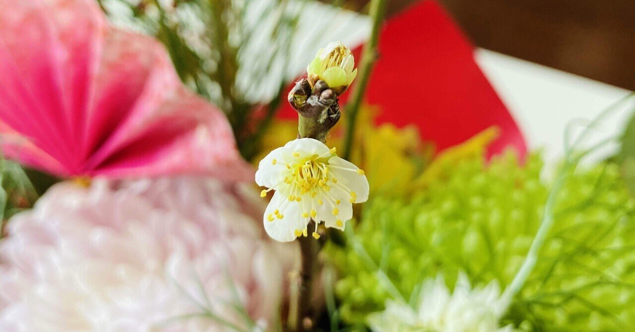 白い梅の花に想う 飛梅伝説 Tsukimiaiko Note