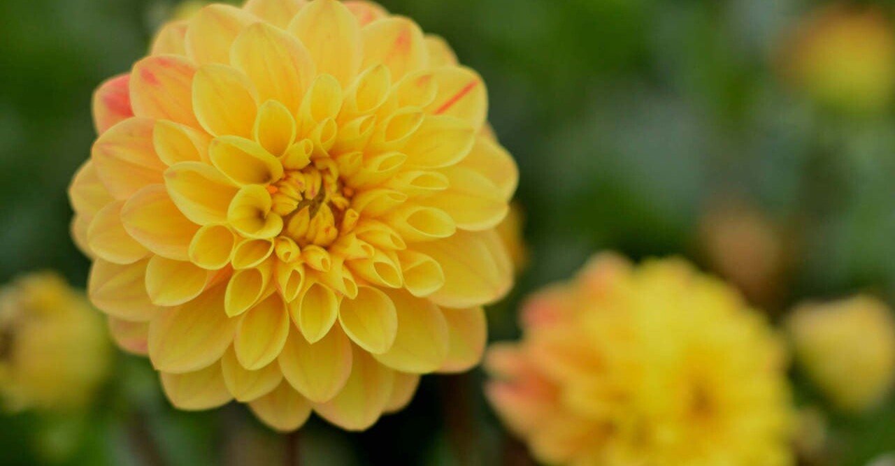 英語 可愛い の類義語 ゆんみ Note