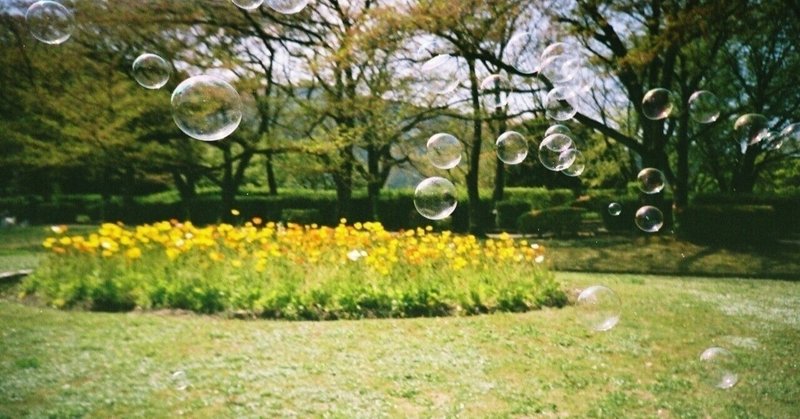 芝生のミミズとの対決！