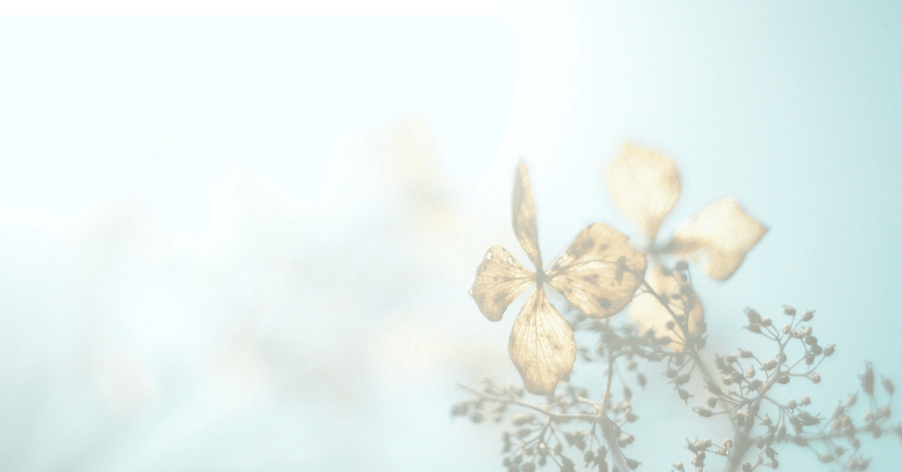 あなたのヒビオルは何ですか ーー映画 さよならの朝に約束の花を飾ろう 感想 ネタバレ注意 抹茶ソルト Note あなたのヒビオルは何ですか ーー映画 さよならの朝に約束の花を飾ろう 感想 ネタバレ注意 抹茶ソルト Note