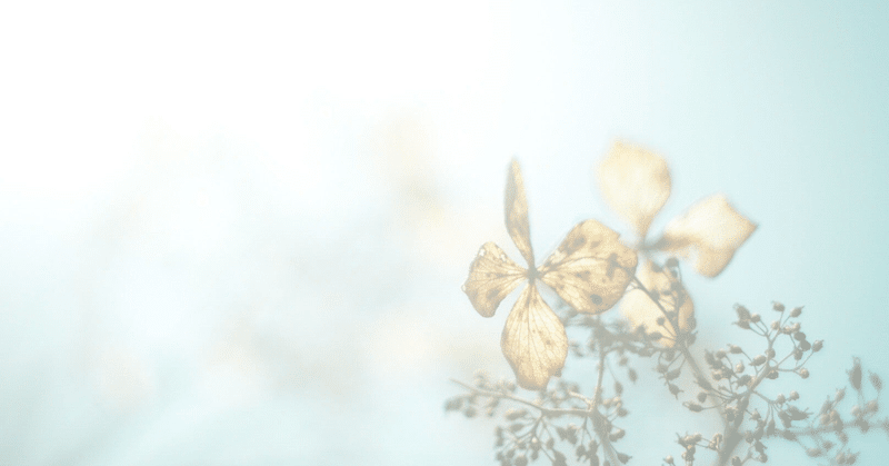 さよならの朝に約束の花をかざろう の新着タグ記事一覧 Note つくる つながる とどける さよならの朝に約束の花をかざろう の新着タグ記事一覧 Note つくる つながる とどける