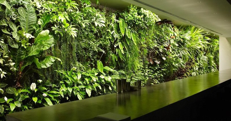 「壁面緑化」の魅力とは？ここちよさを表現する、壁一面のグリーン
