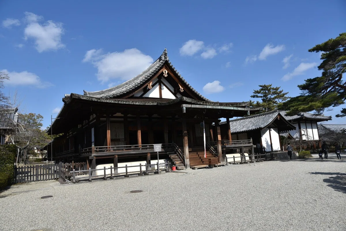画像6