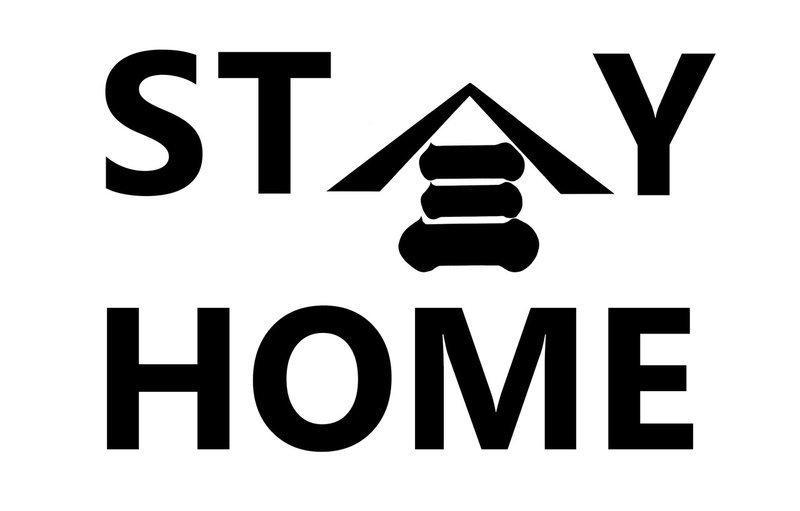 STAY HOME 山三