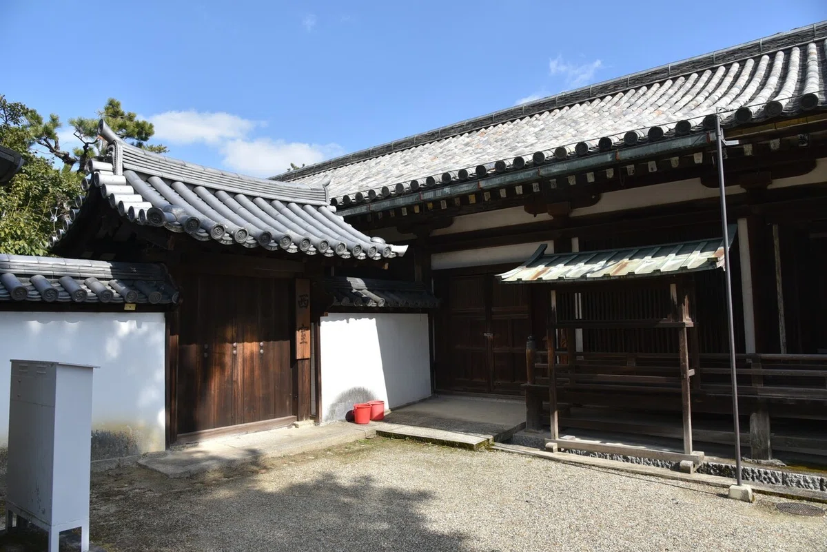 画像8