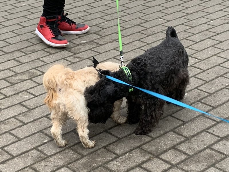 画像2を拡大表示