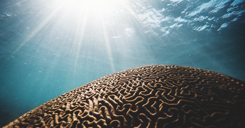 脳みそだだもれ日記3 Fragments Of はんぺん Note