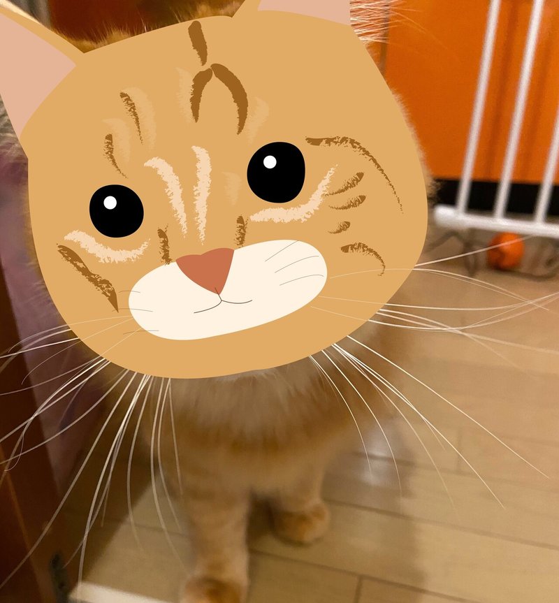 Illustrator上達のために飼い猫の絵を描いてみた Yako Note Illustrator上達のために飼い猫の絵を描いてみた Yako Note