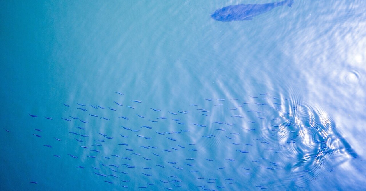 全体は部分の総和以上|小笠原 佳祐 |note 全体は部分の総和以上|小笠原 佳祐 |note