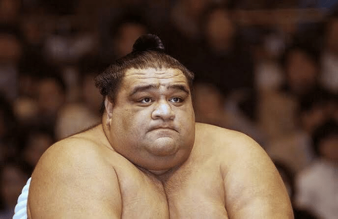 歴代横綱パック サトゥー 大相撲大好きnote Note