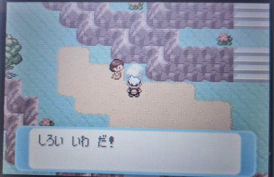 トクサネシティの 白い岩 を3か月探し続けた ゆのめともふみ Note トクサネシティの 白い岩 を3か月探し続けた ゆのめともふみ Note