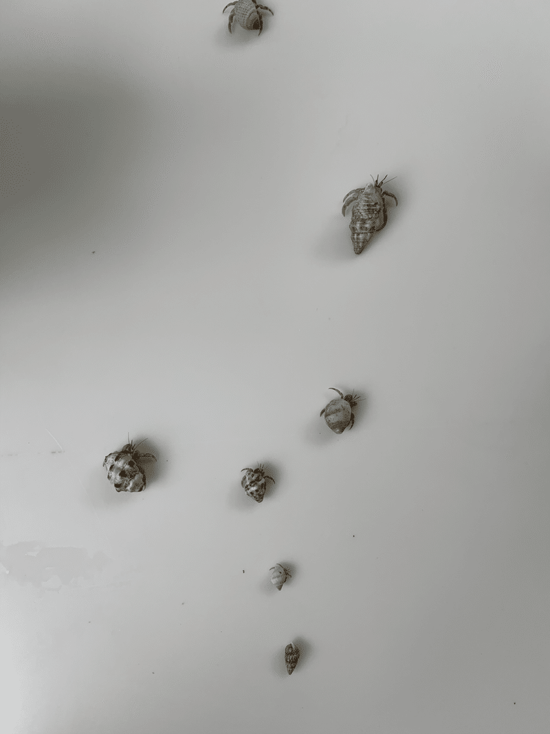 沖縄旅行 激推しします 沖縄のバンタカフェ Nanasu Note