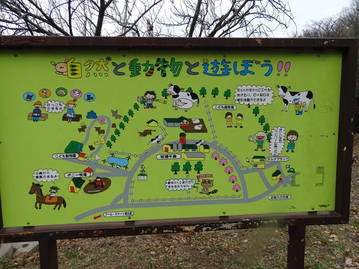 画像7