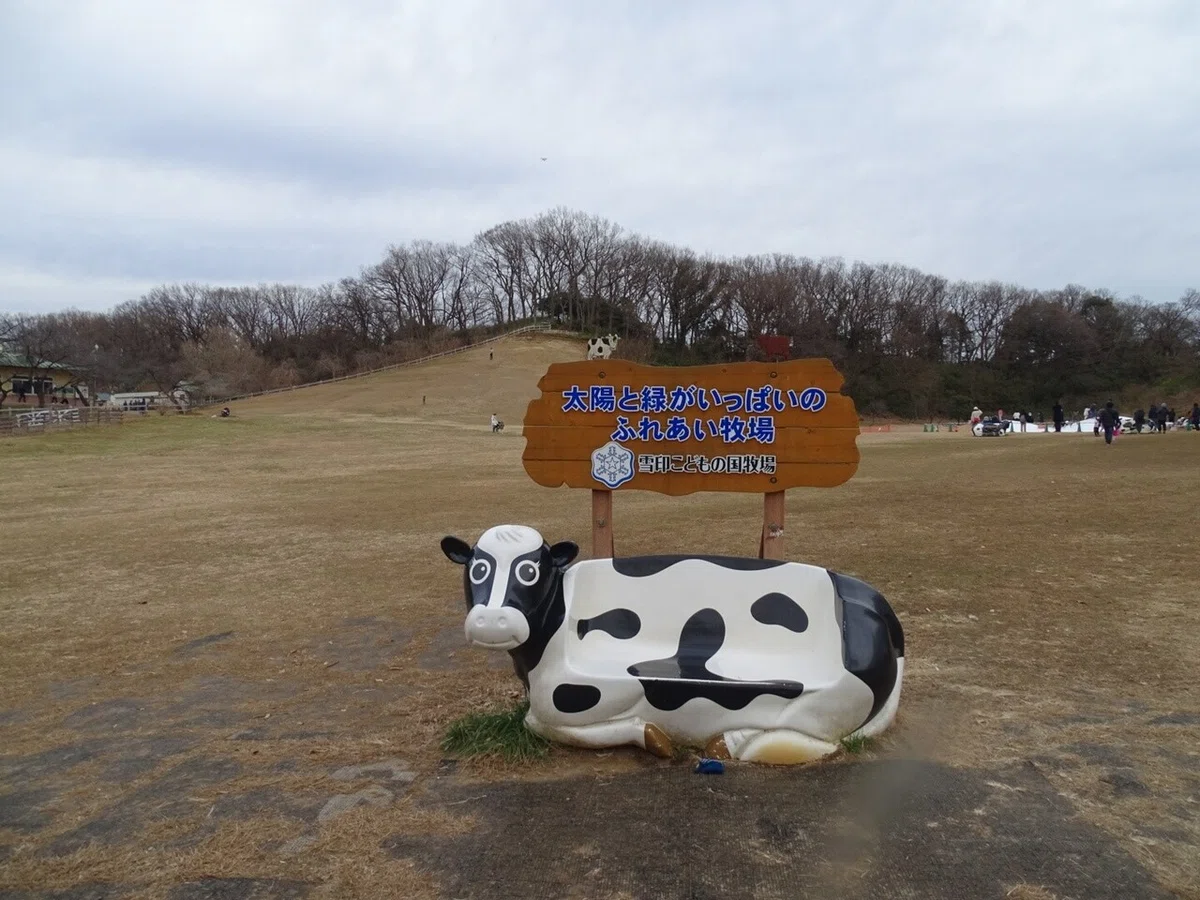 画像9