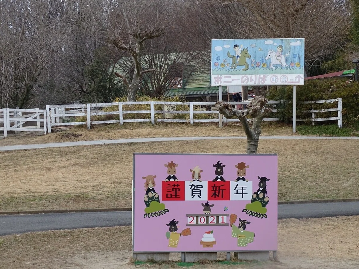 画像11