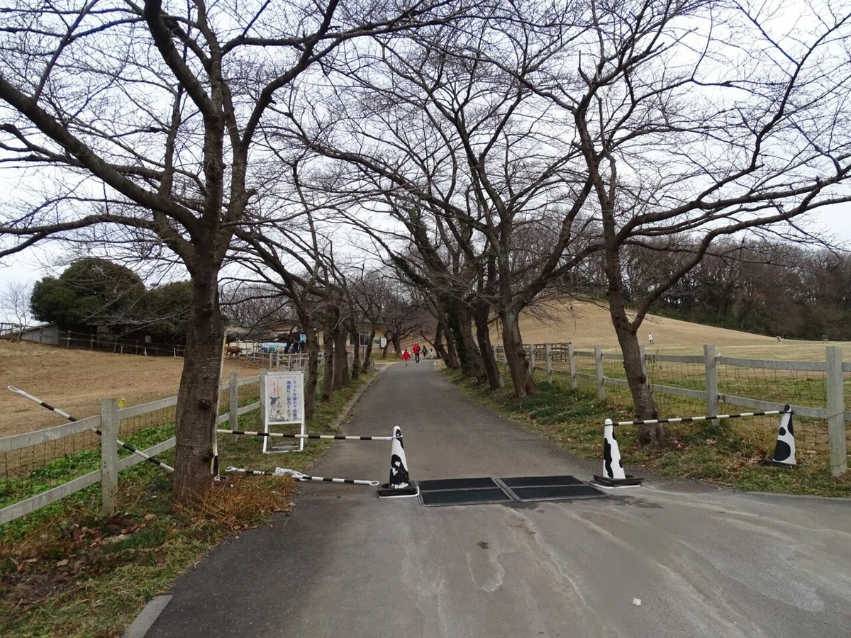 画像14