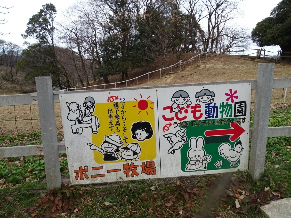 画像15