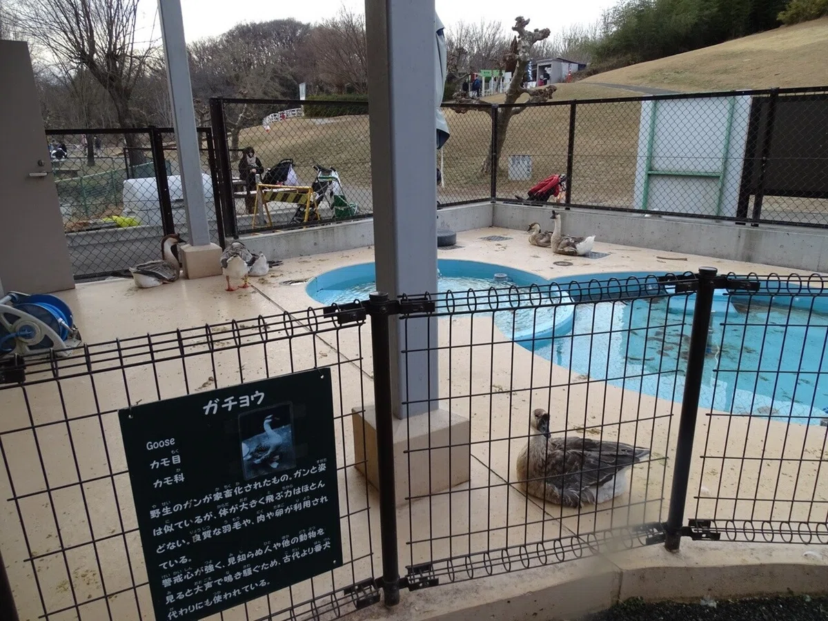 画像22