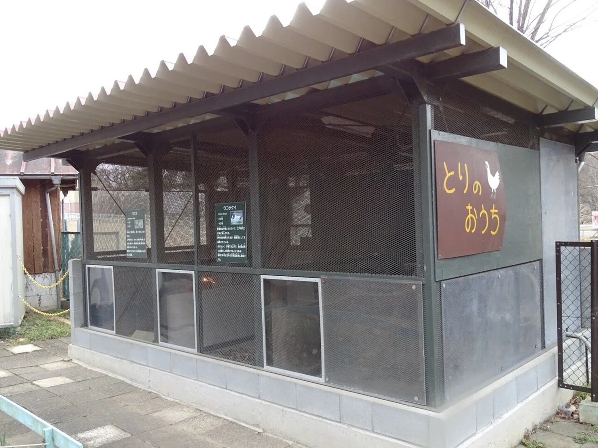 画像20