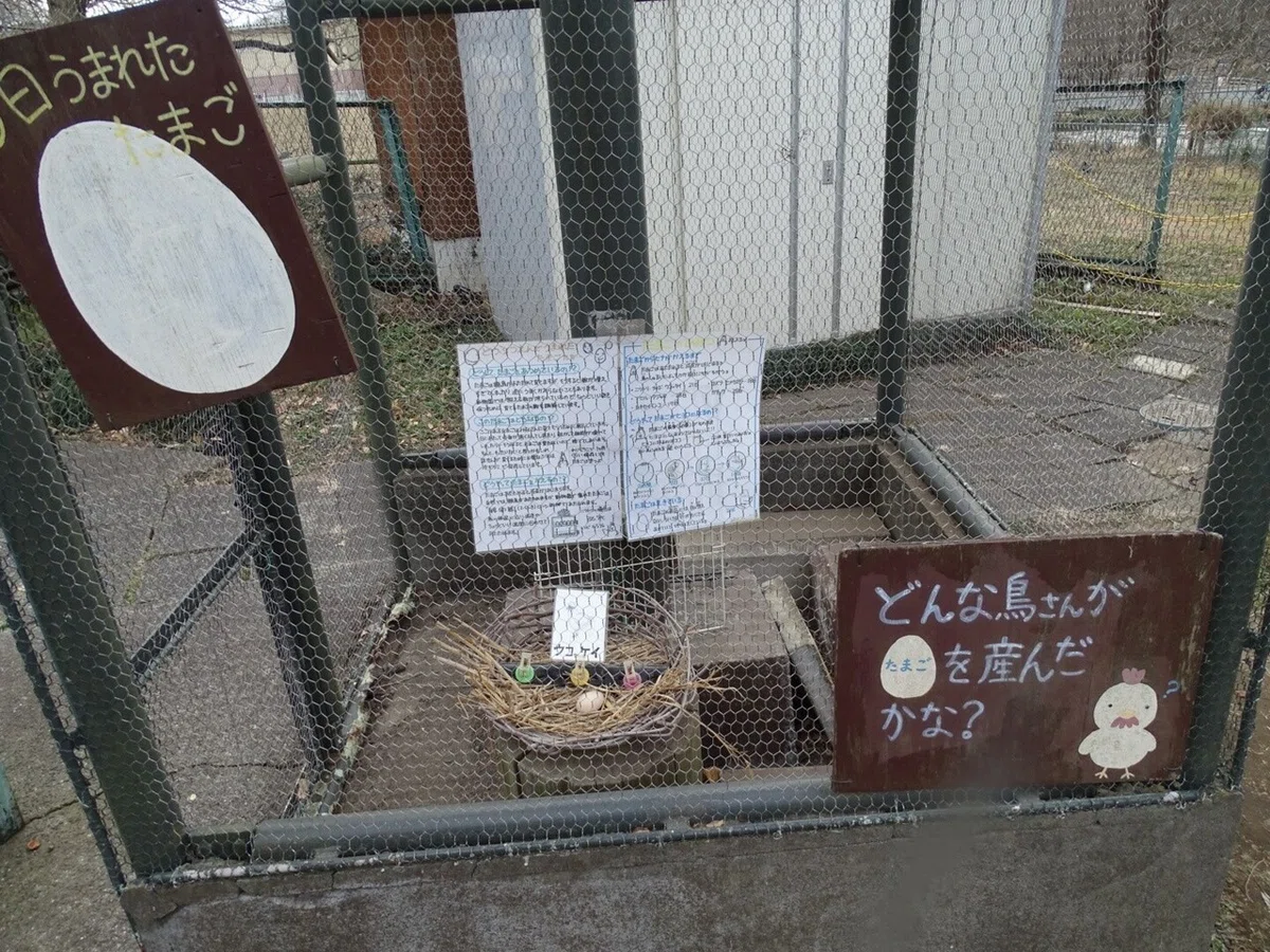画像25