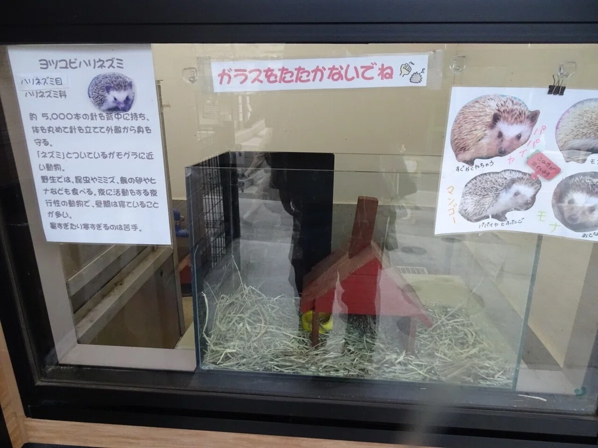 画像28