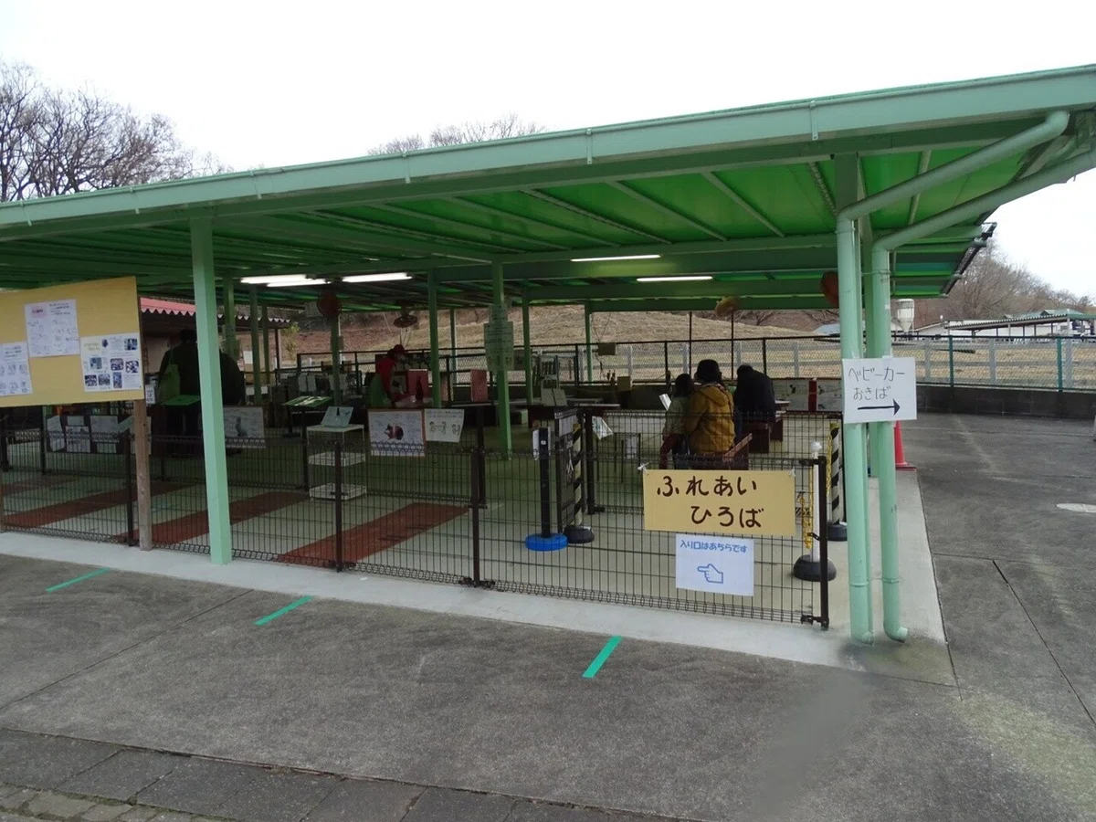 画像30