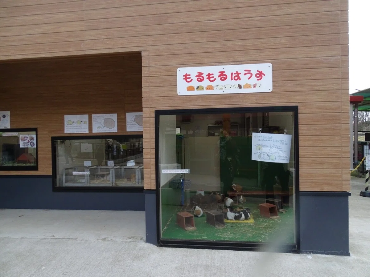 画像32
