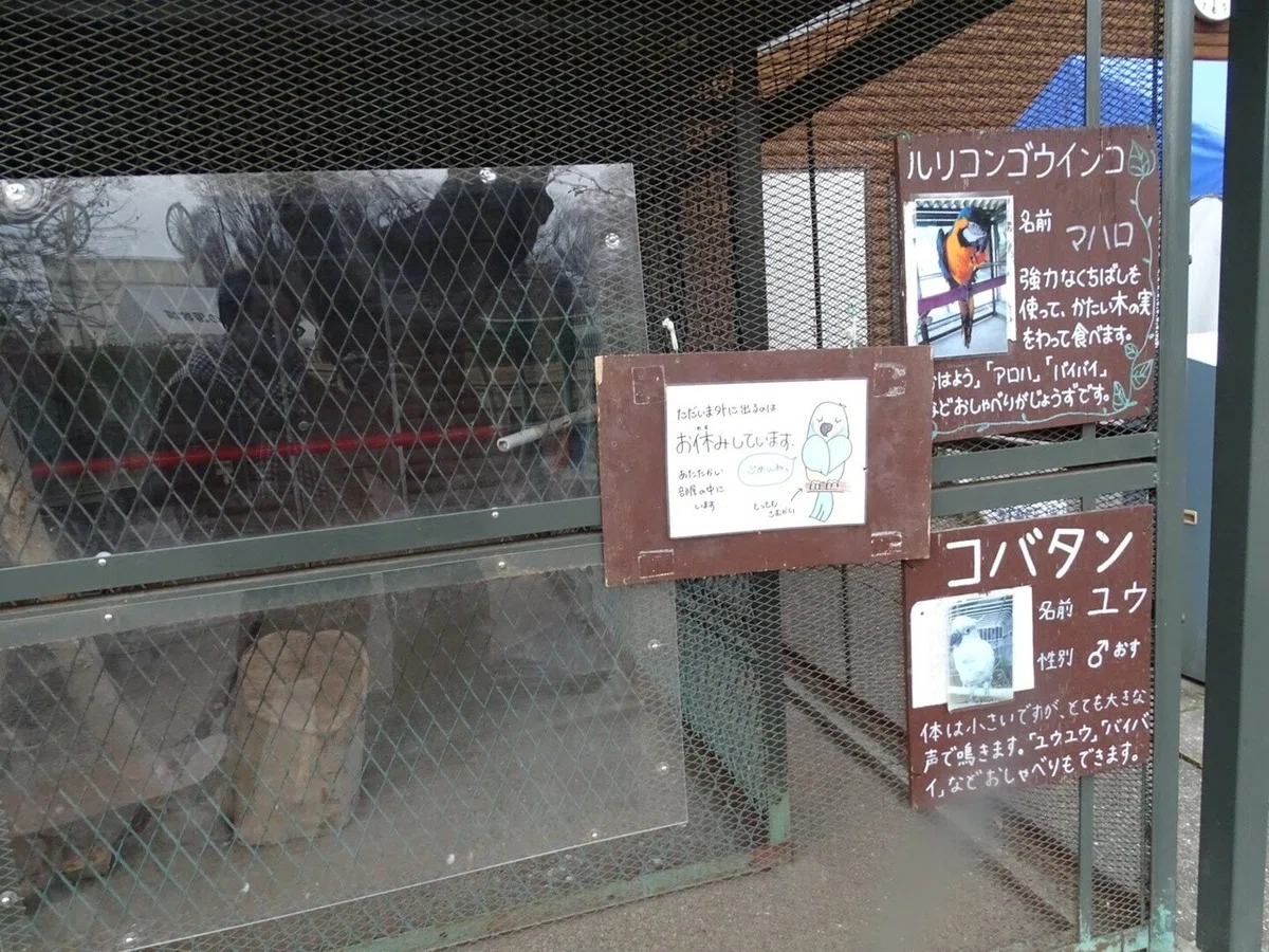 画像29