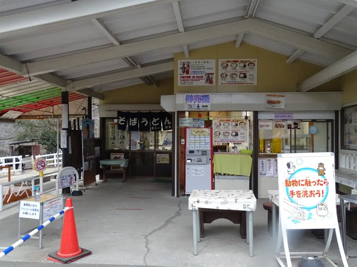 画像34