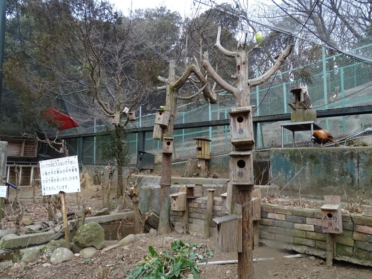 画像38