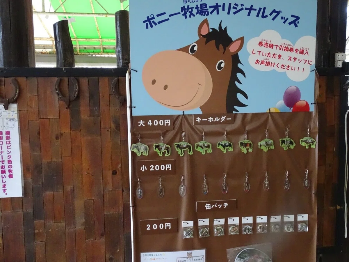 画像45