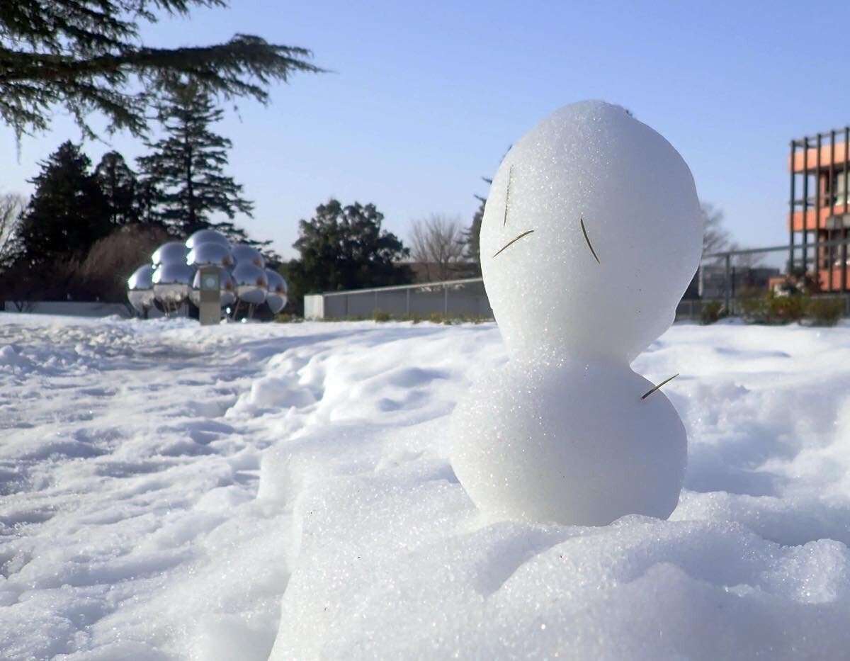 雪の美術館写真散歩 どんな形 どんな色 金沢21世紀美術館交流課 雪の美術館写真散歩 どんな形 どんな色 金沢21世紀美術館交流課