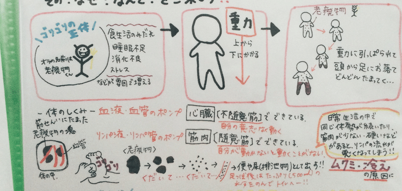 足つぼの効果がすごい Hogu心 トータルボディケアサロン Note 足つぼの効果がすごい Hogu心 トータルボディケアサロン Note