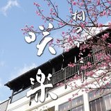 桐のかほり咲楽のブログ