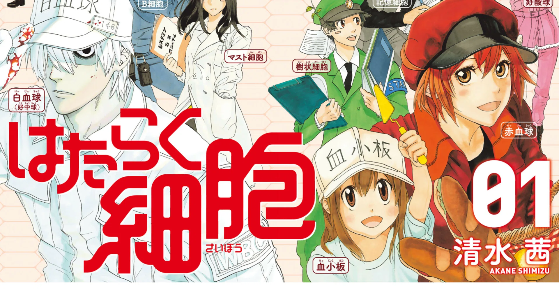 2021年の100冊 #8 「はたらく細胞 01」（清水茜）｜まとば