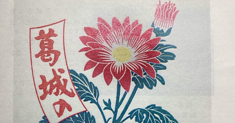 花pr 奈良県 葛城の菊 Shion Note 花pr 奈良県 葛城の菊 Shion Note