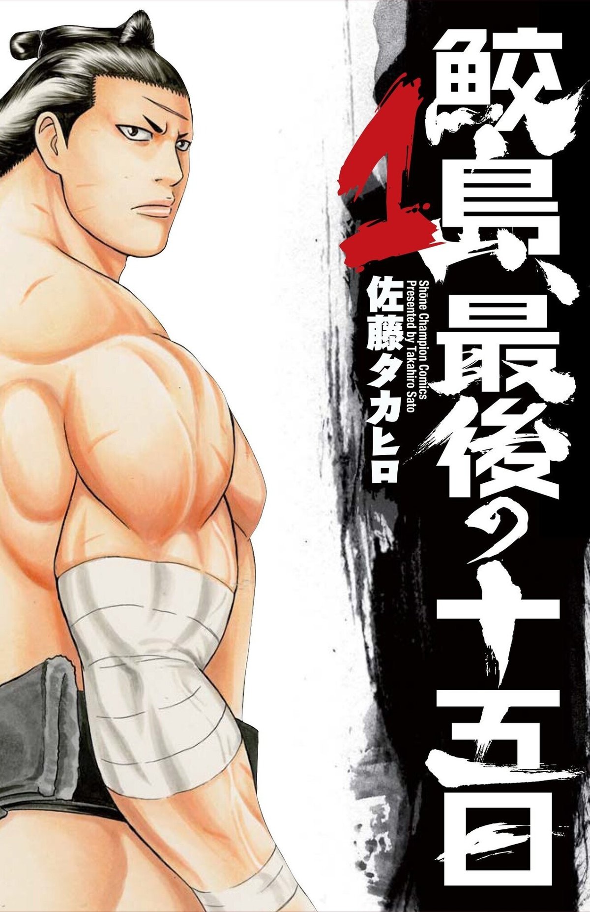送料無料 いくらから バチバチシリーズ 全48巻 漫画 相撲 少年漫画