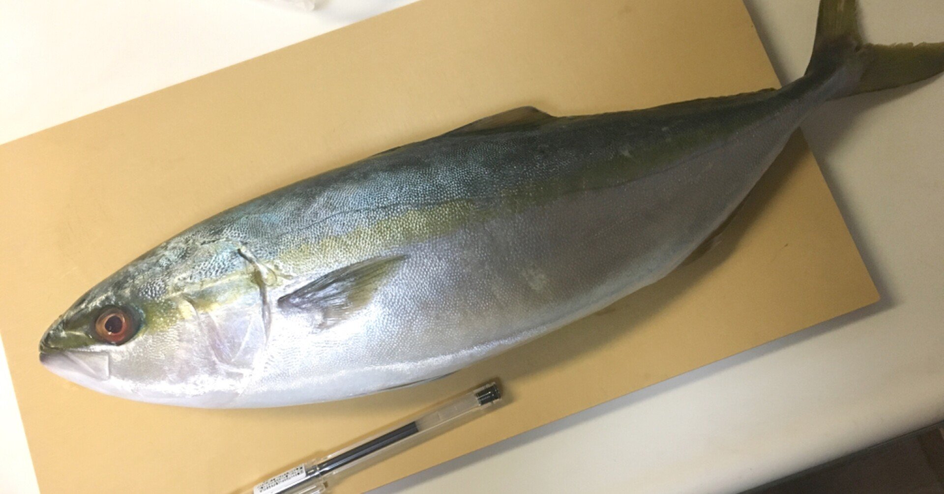 海産物解体備忘録 1 メキ Note 海産物解体備忘録 1 メキ Note