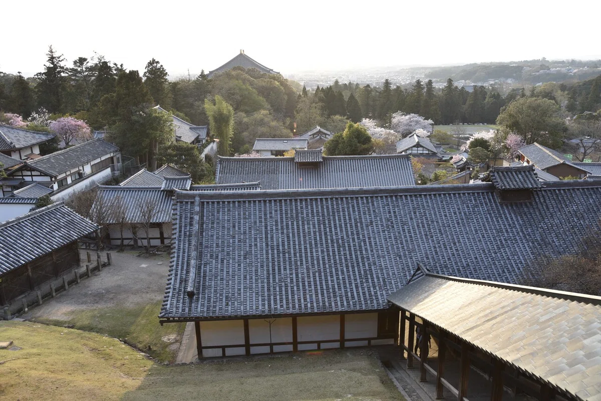 画像10