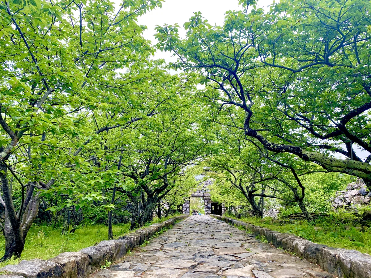 画像11
