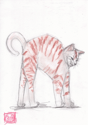 猫gifアニメ 三州生桑 Note 猫gifアニメ 三州生桑 Note