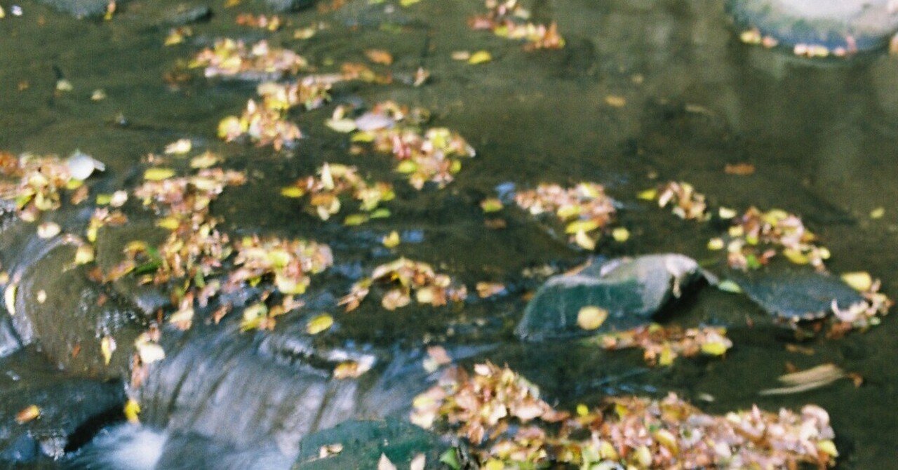 37 令和の白拍子清く 正しく 逞しく 宝塚音楽学校ライフ 予科生編 元タカラジェンヌー花柳まり草 Marikusahanayagiー令和の白拍子 Note 37 令和の白拍子清く 正しく 逞しく 宝塚音楽学校ライフ 予科生編 元タカラジェンヌー花柳まり草 Marikusahanayagiー令和の白拍子 Note