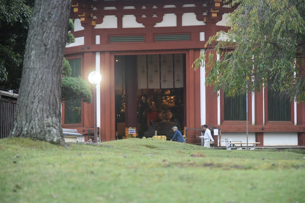画像5