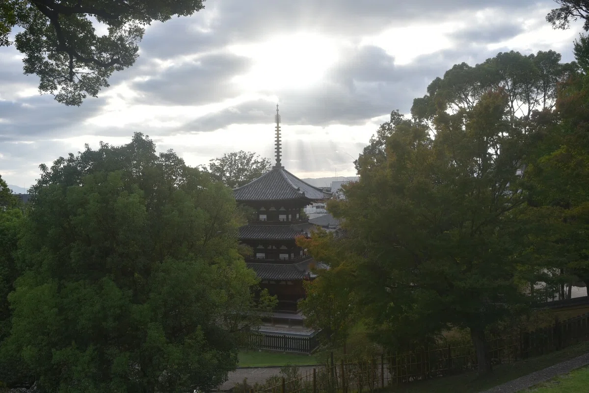 画像6