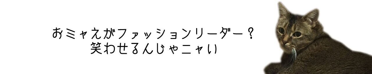 ダメ男 ファッションリーダーになる やぶにらこぼれ Note ダメ男 ファッションリーダーになる やぶにらこぼれ Note