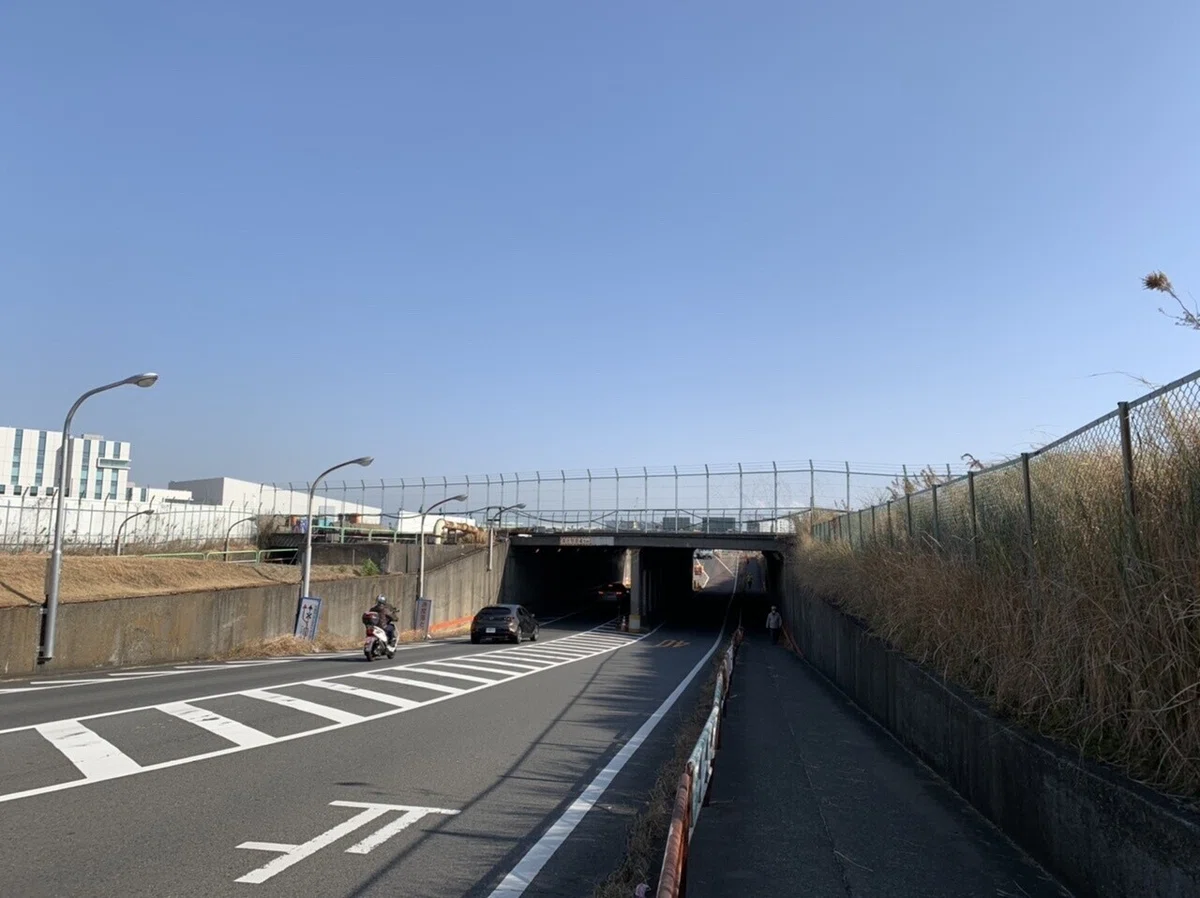 画像9