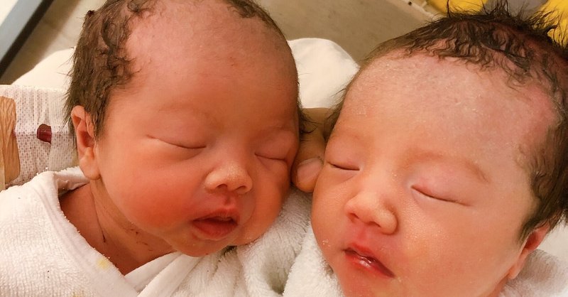 双子出産 の新着タグ記事一覧 Note つくる つながる とどける