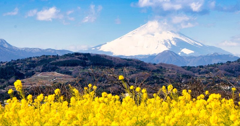 神奈川 湘南 菜の花と富士山の絶景 二宮と大磯の観光地巡りもなかなかのもの Ypsilon Note 神奈川 湘南 菜の花と富士山の絶景 二宮と大磯の観光地巡りもなかなかのもの Ypsilon Note