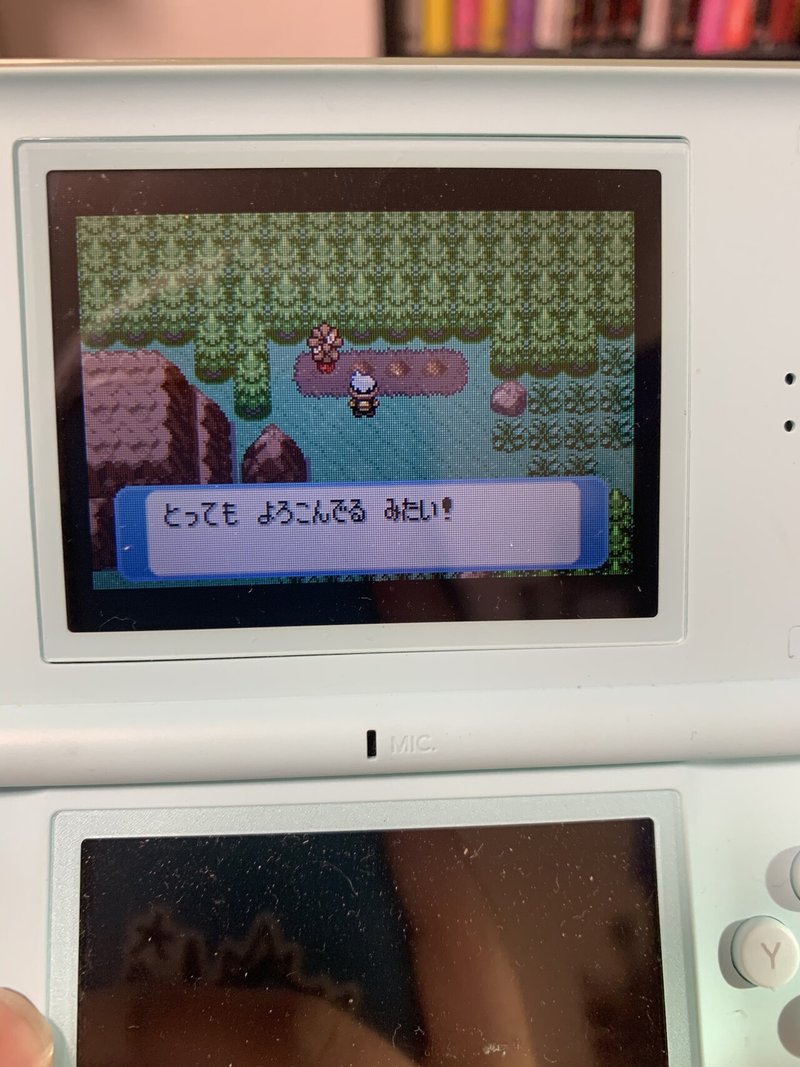 ポケモンリボンコンプの旅 ポロックを作る 宗諸 Note ポケモンリボンコンプの旅 ポロックを作る 宗諸 Note